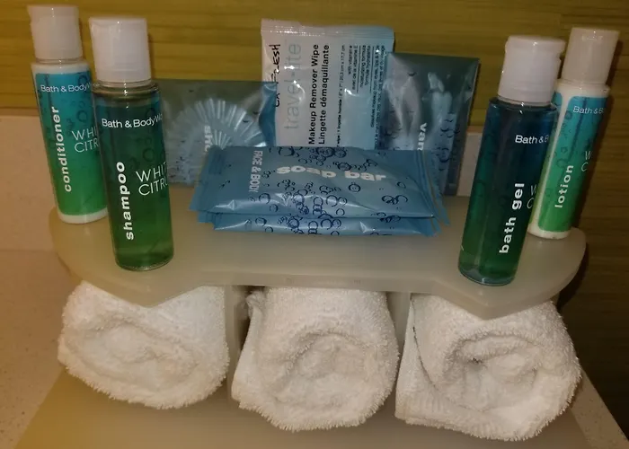 Holiday Inn Express Hotel & Suites Ann Arbor West By Ihg